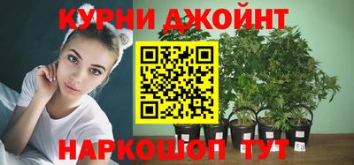 трава Будённовск