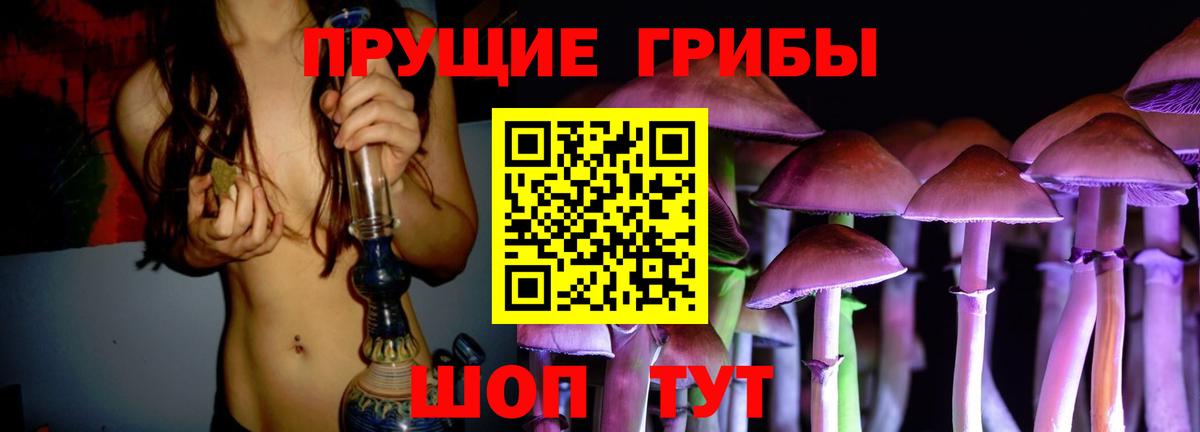 Псилоцибиновые грибы Psilocybine cubensis Реутов